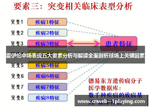霍伊伦中场表现五大要素分析与解读全面剖析球场上关键因素