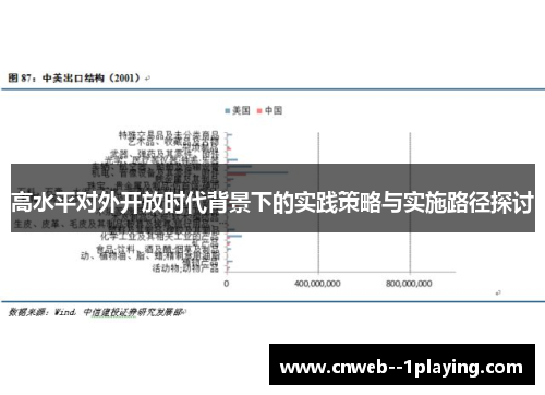 高水平对外开放时代背景下的实践策略与实施路径探讨 高水平对外开放时代背景下的实践策略与实施路径探讨